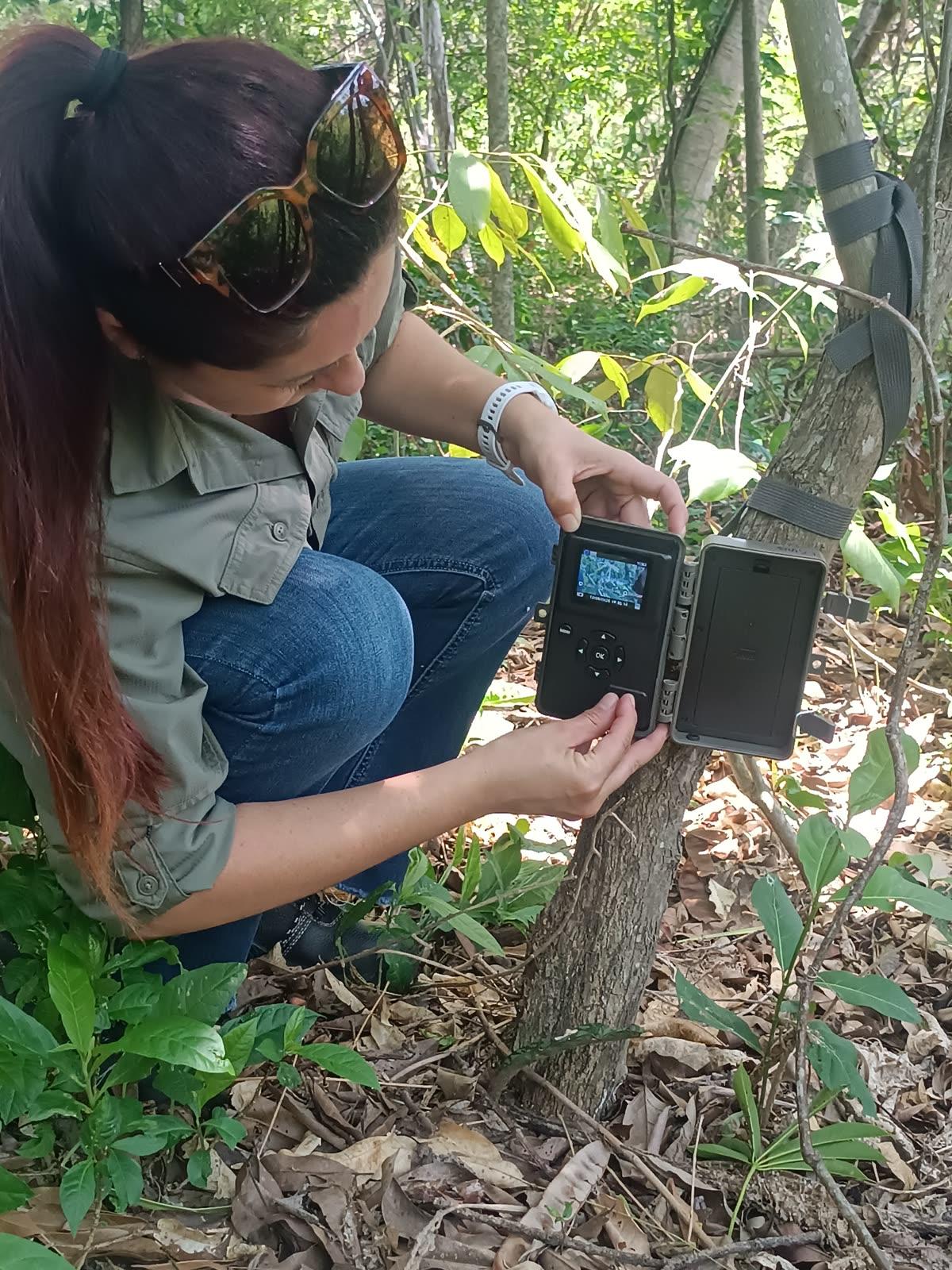 Especialista de BioBalance configurando una cámara trampa en el bosque durante trabajo de campo en Santa Ana