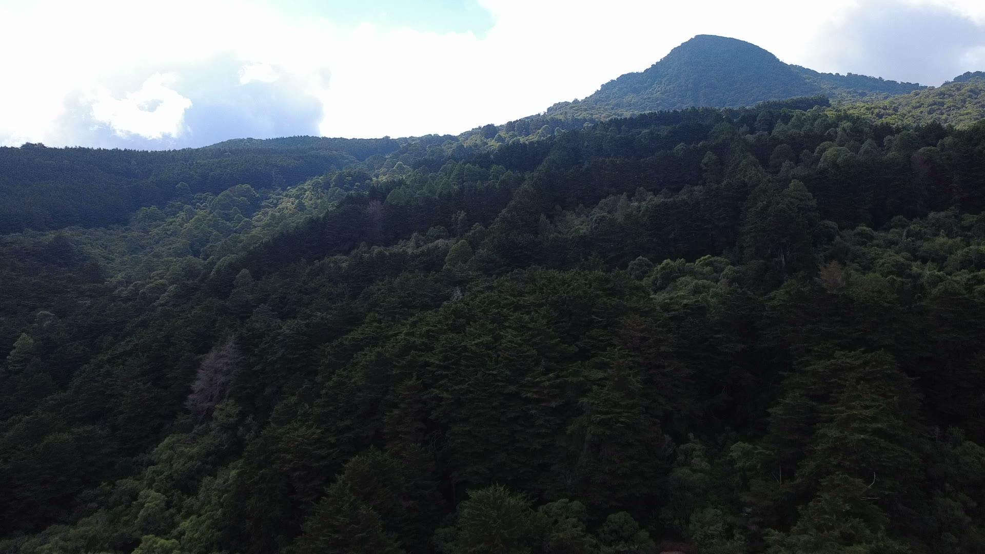 Vista aérea del bosque salvadoreño con el cerro al fondo, tomada con dron por el equipo de BioBalance
