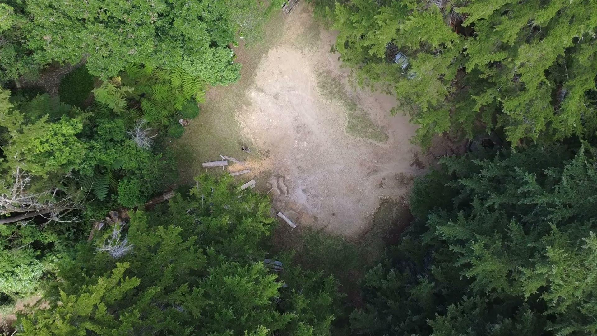 Monitoreo de mamíferos en la Cuenca Alta del Río Lempa